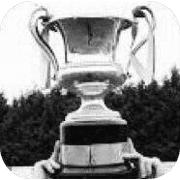 Northern Ireland Intermediate Cup