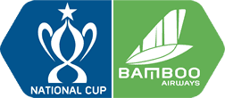 Vietnam National Cup