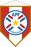 Paraguayan Cup