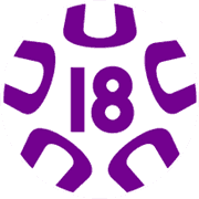 Japanese U18 Prince League