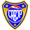 Campeonato Paraense de Futebol Feminino