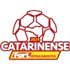 Brazilian Campeonato Catarinense Division 1