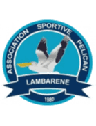 Pelican Lambarene