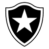 Botafogo RJ Youth