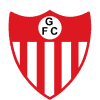 Guarany de Bage