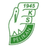 Pelikan Lowicz