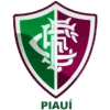 Fluminense PI Youth
