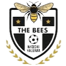 The Bees FC