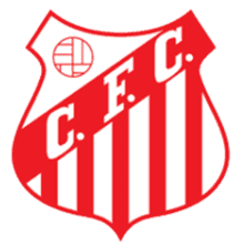 Capivariano FC SP Youth