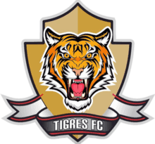 Tigres Zipaquira