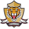 Tigres U19