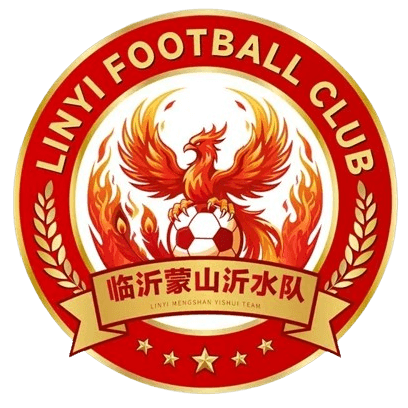 Linyi Team