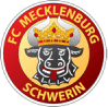 FC Mecklenburg Schwerin