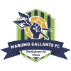 Marumo Gallants FC