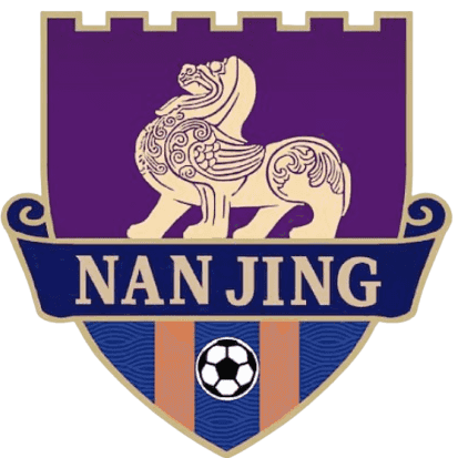 Nanjing Team