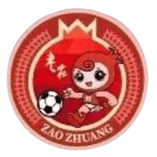 Zaozhuang Team