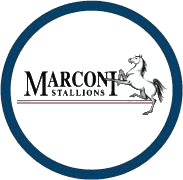 Marconi Stallions