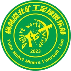 Yulin Mobei Miners