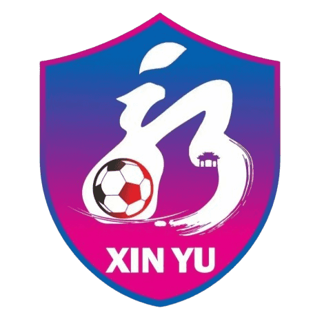 Xinyu Team