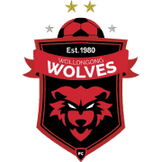 Wollongong Wolves