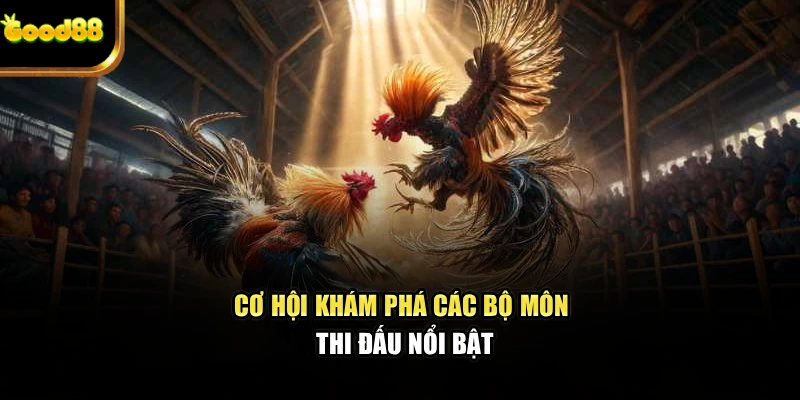 Cơ hội khám phá các bộ môn thi đấu nổi bật