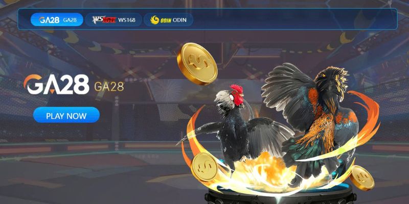 Khám phá nội dung về tải đá gà