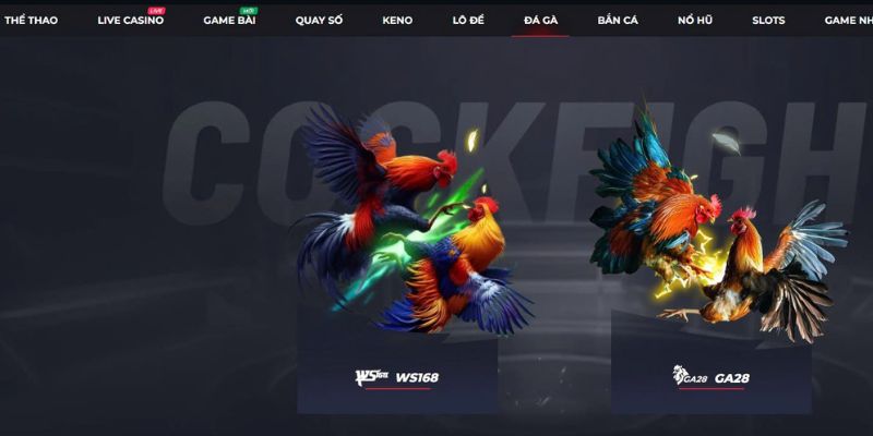 Nâng cấp phần mềm thông minh mới mẻ